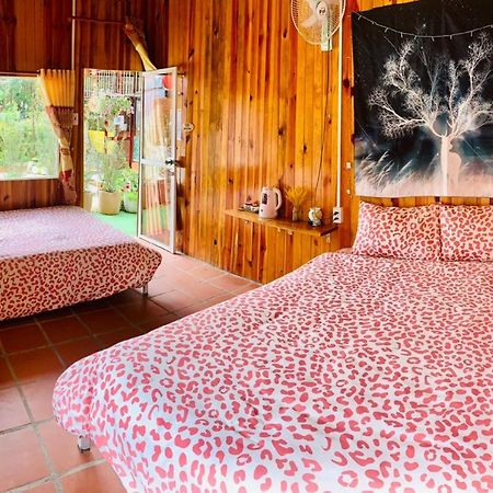Moc Gia Vien Homestay - Da Lat Esterno foto